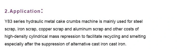 Hydraulic Steel Copper Aluminum Scrap Iron Shaving Briquetting Turnings Block Moulding Machine